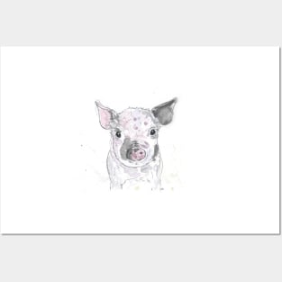 Piglet portrait. Posters and Art